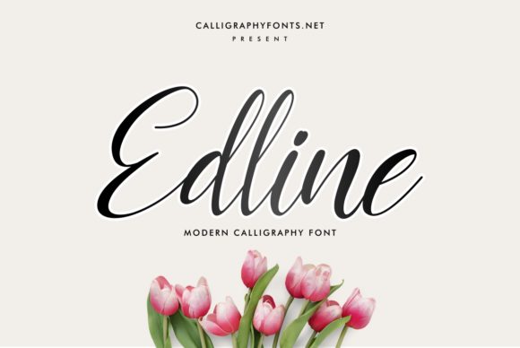 Edline: The Font That Elevates Your Brand