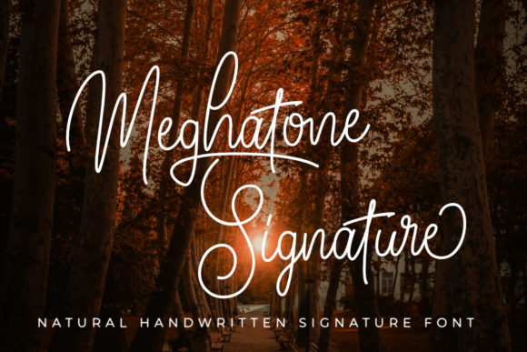 Font Choice That Speaks Volumes: Meghatone Signature